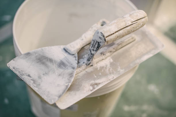 Best Asbestos and Lead Testing During Mold Inspection  in Westfield Center, OH